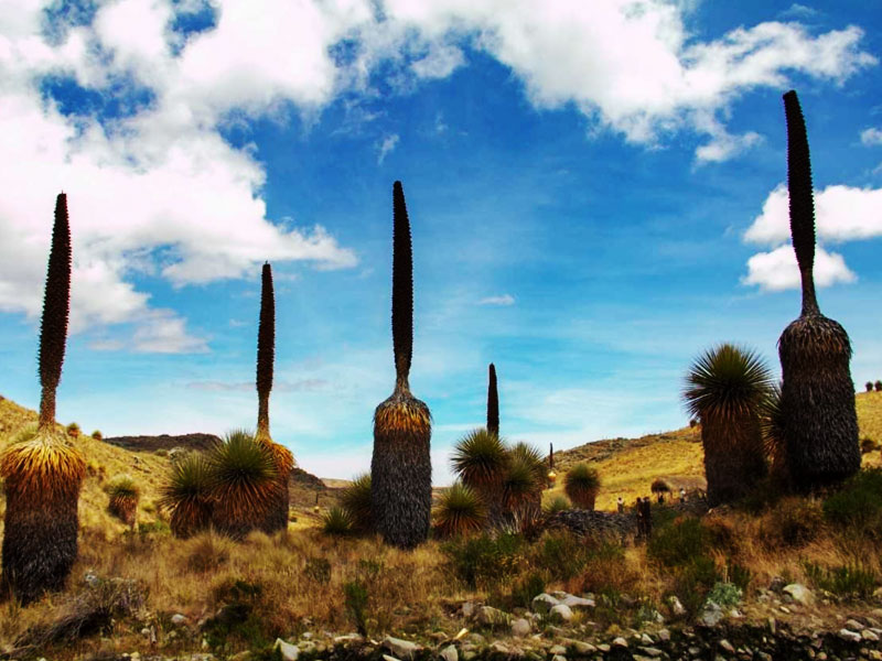 huaraz-mistico-dia1